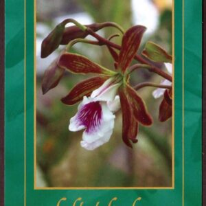 Cuba - Día de la Madre