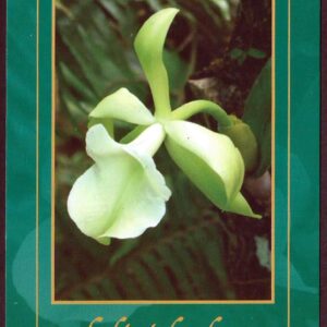 Cuba - Día de la Madre