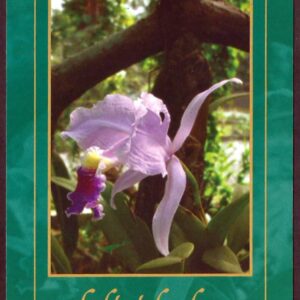 Cuba - Día de la Madre