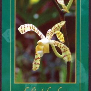 Cuba - Día de la Madre