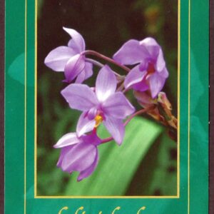 Cuba - Día de la Madre