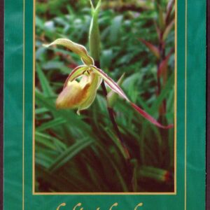 Cuba - Día de la Madre