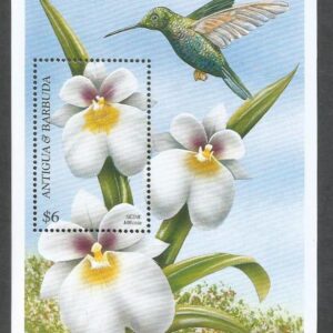 Antigua y Barbuda - Orchids of The World (1999). BX 2207