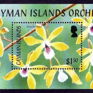 Cayman Islands Orchids (2005 KY BL43