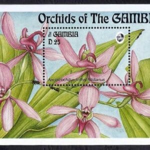 Gambia - Orchids (1994)