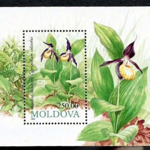 Moldova - Orchids (1993)