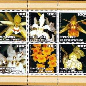 Costa de Marfil - Orchids (2002)