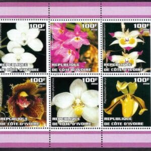 Costa de Marfil - Orchids (2002)